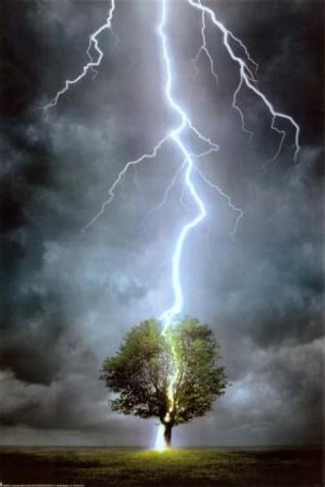 Lightning Strikes Tree | Stunning Places