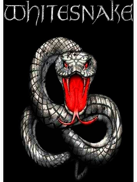 "whitesnake new logo" Poster for Sale by McMeekin24 | Redbubble