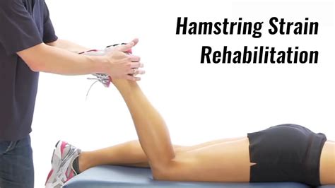 Hamstring Injury Treatment Exercises