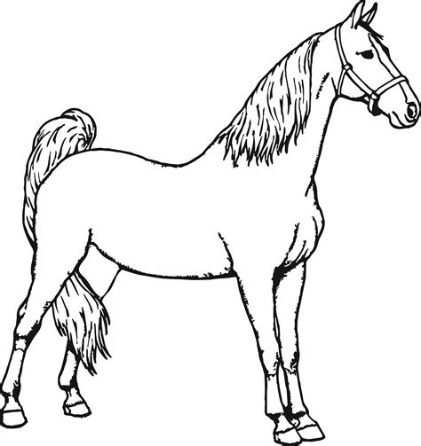 Coloring Pages Of Horses Printable