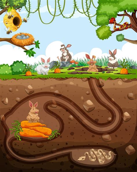 Underground animal burrow with rabbit family 2284405 Vector Art at Vecteezy