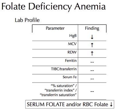 Folate Deficiency Anemia Symptoms