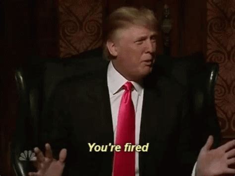 Trump Youre Fired GIF - Trump Youre Fired The Apprentice - 发现和分享 GIF