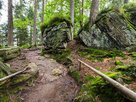 Bavarian Forest National Park Wallpapers - Wallpaper Cave