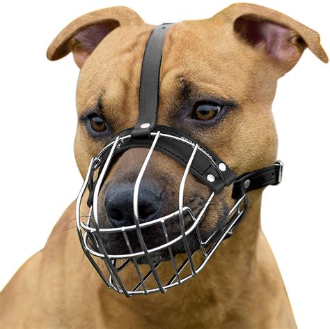 Best Dog Muzzle [2024] Top Muzzles for Dogs & Puppies [Reviews]