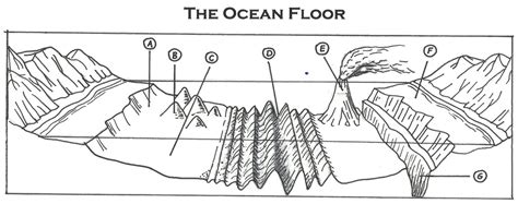 Ocean Floor Diagram | Quizlet