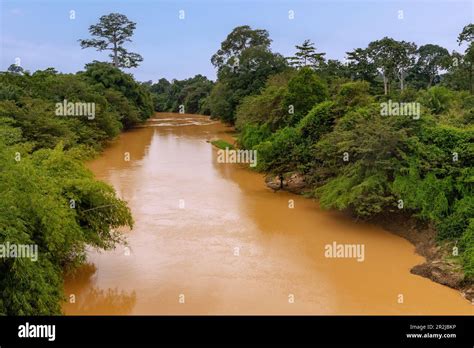 River Pra at Assin Praso in the Central Region of southern Ghana in West Africa Stock Photo - Alamy