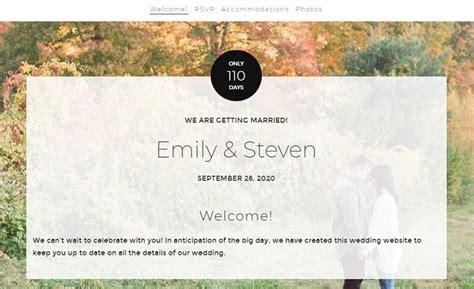 Wedding Website Examples, Tips, and Templates | Renderforest