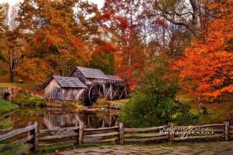 15 Stunning Fall Photos from the Blue Ridge Mountains | Fall photos ...