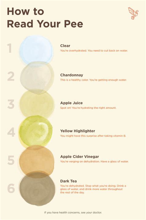 What Color Is Your Pee? This Urine Chart Explains What It Means | Pee color, Feminine health, Urinal