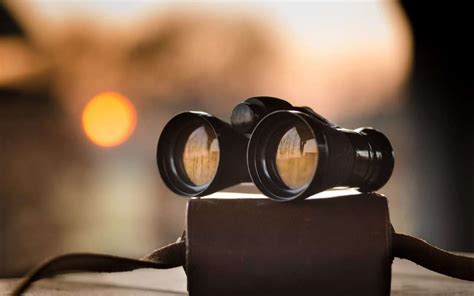 How to Choose Good Bird Watching Binoculars - Bird Agent