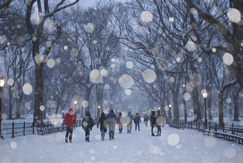 NYC ♥ NYC: Snowy Central Park