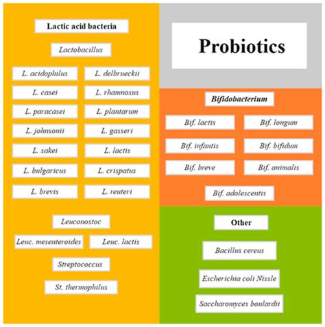 Benefits Of Lactobacillus Bulgaricus