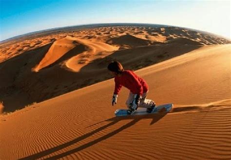 Things To Do in Desert Safari Dubai