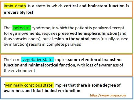 What are the UK diagnostic criteria of brain death?