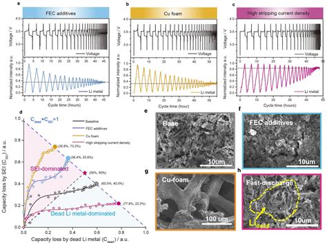 Figure 3 from Operando Tracing and Quantifying Inactive Li in Lithium Metal Battery | Semantic ...