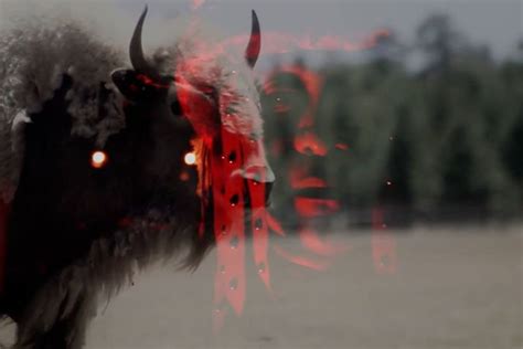 WHITE BUFFALO: AN AMERICAN PROPHECY Trailer - Film Inquiry