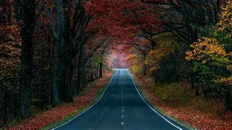 Fall Road Wallpaper (71+ images)