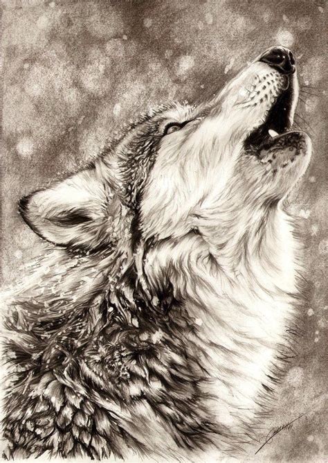 Majestic | Pencil drawings of animals, Animal drawings, Wolf art