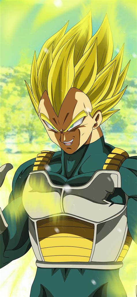 Vegeta Rage Wallpapers - Wallpaper Cave