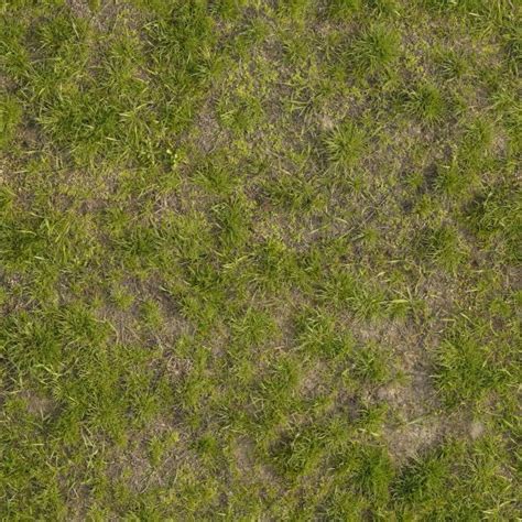 seamless inconsistent grass texture 0048 in 2021 | Grass textures, Grass texture seamless ...