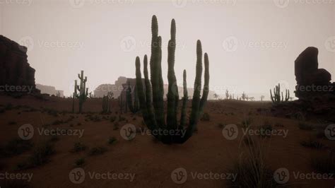 Sunset in the desert, Sunset in the desert in Dubai UAE 17278522 Stock Photo at Vecteezy