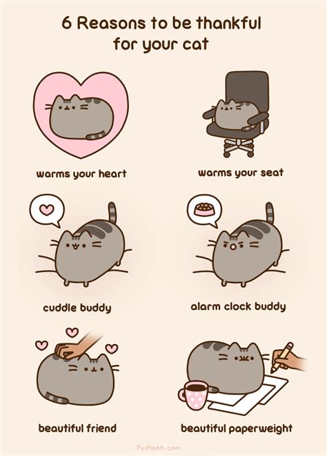 6 Reasons To Be Thankful For Your Cat | Pusheen | Know Your Meme