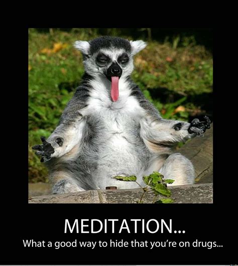 meditation meme – zen gif – Succed