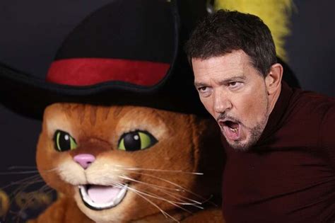 Antonio Banderas says playing Puss in Boots in Shrek films ‘destroyed’ his vocal cords ...