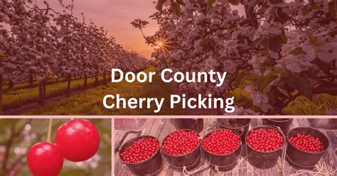 Door County Cherry Picking: 2024 Ultimate Guide