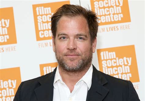 Michael Weatherly Posts Cryptic Tweet about Ziva and Tony Reunion and ...