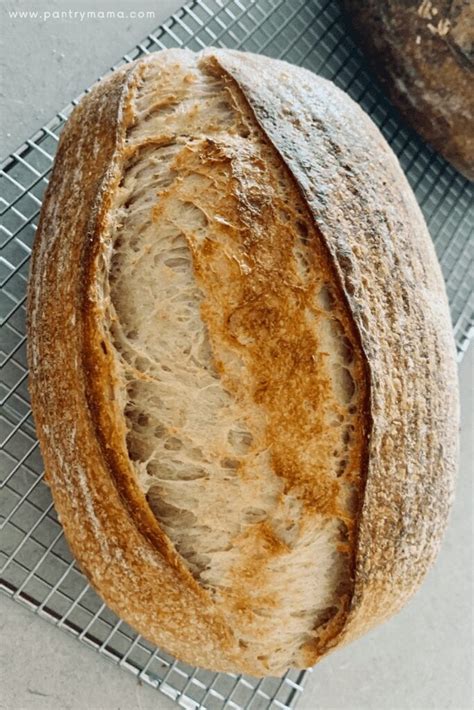 Whole Wheat Sourdough Recipes Archives - The Pantry Mama