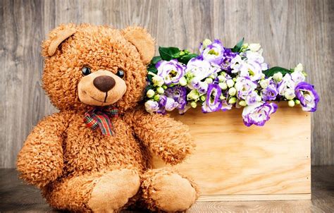 Flower Teddy Bear Wallpapers - Top Free Flower Teddy Bear Backgrounds - WallpaperAccess