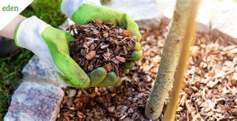 Where to Buy Mulching Tools | Eden Lawn Care and Snow Removal