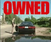 Owned GIF - Owned - Discover & Share GIFs