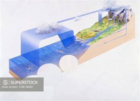 Biosphere, ecosystem, drawing. - SuperStock