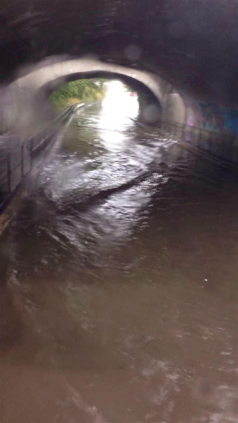 This flooded tunnel looks like the eye of an animal. – cute pic