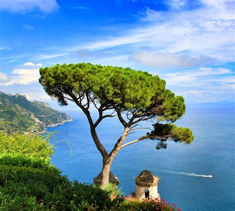 Ravello in Ravello: 9 reviews and 37 photos