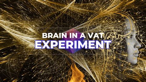 The Brain in a Vat Thought Experiment - Tanzanite AI