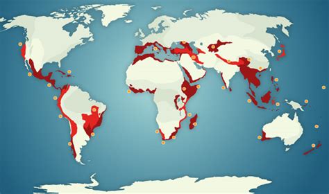 Constructing Wild: Biodiversity Hotspots