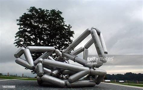 26 Richard Deacon (Sculptor) Stock Photos, High-Res Pictures, and ...