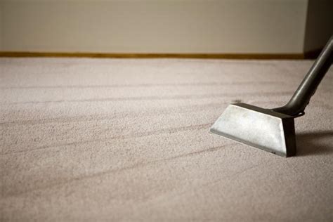 Dry Carpet Cleaning vs. Steam Cleaning: Pros and Cons | HGTV