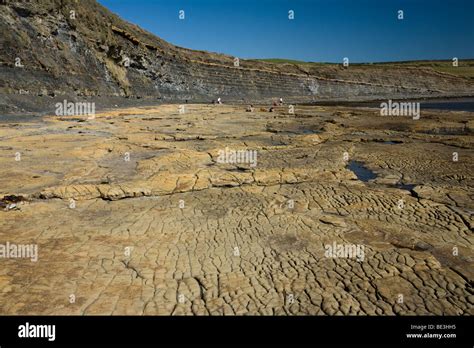 Dolomite rock formations at Kimmeridge Bay on the Isle of Purbeck, on ...