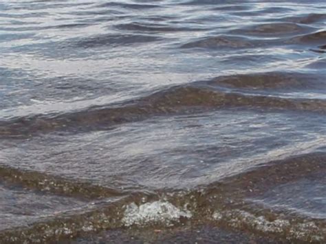 Man Spotted Swimming In Square Waves Pattern, Doesn't Know How ...