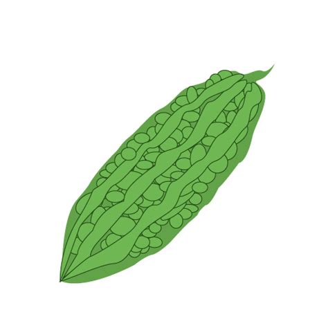 Vegetables clipart ampalaya, Vegetables ampalaya Transparent FREE for ...