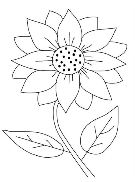 Sunflower Outline Drawing at GetDrawings | Free download