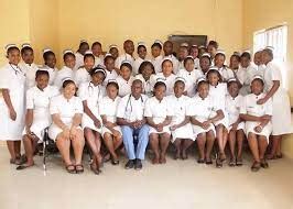 Limpopo College of Nursing Online Application Form 2023 Intake » SANotify