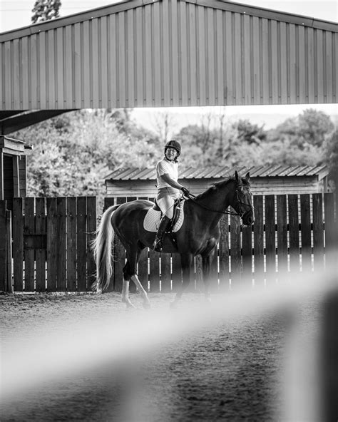 The Tumpy Green Equestrian Centre Photoshoot — Reflex Image Photography ...