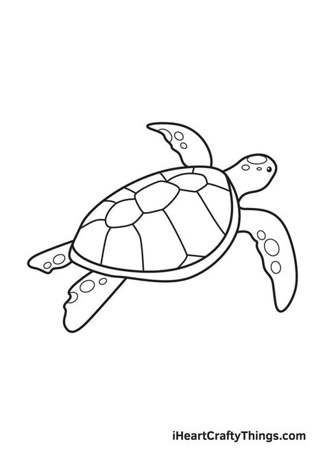 How to Draw a Sea Turtle – Step by Step Guide | Turtle drawing, Sea ...