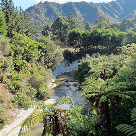 Whanganui River - 2022 Alles wat u moet weten VOORDAT je gaat - Tripadvisor